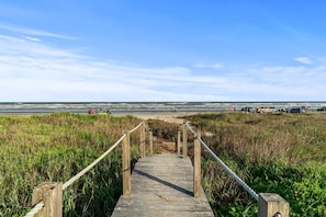 The walk to the ocean