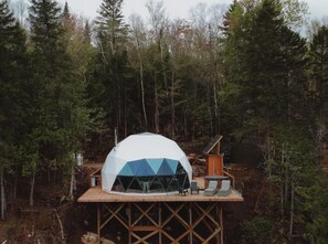 Dôme The Hemlock - Nestled in the forest