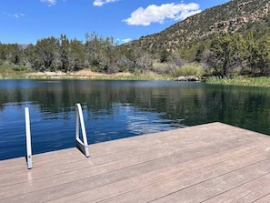 Take a dive into the pond from the dock!