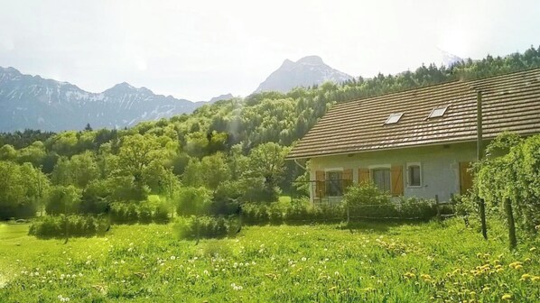 Exteriör