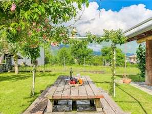 Garden, Shade, Lawn, Leisure, Bicycle, Meadow, Park, Yard, Bicycle Wheel