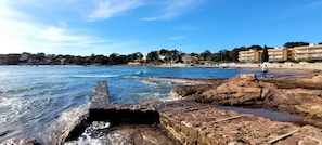 Strand