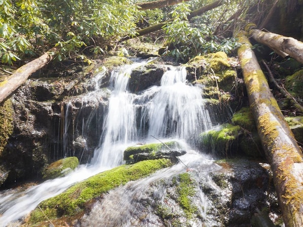 Another waterfall on our retreat land, 10 minute hike from the main hous