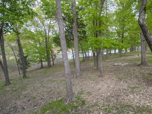 Table Rock Lake view