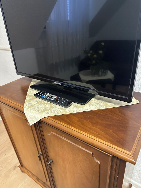 Television