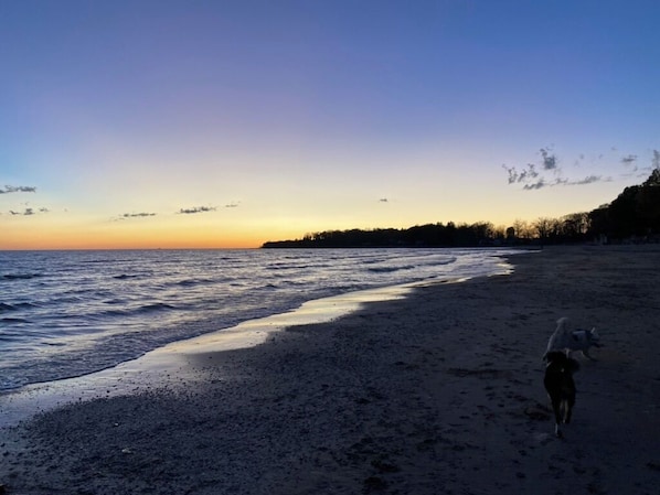 Strand