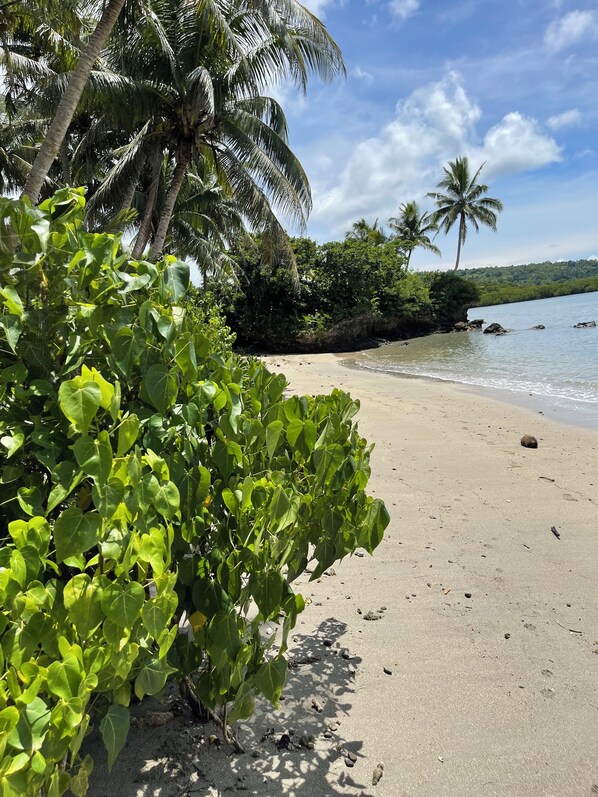 Plage