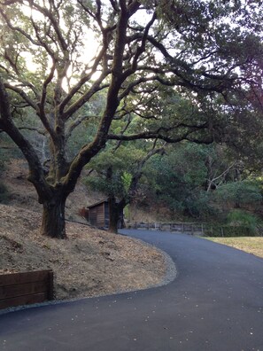 Private driveway to our 1 acre property