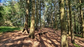 Niederseilgarten