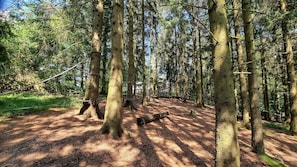 Niederseilgarten