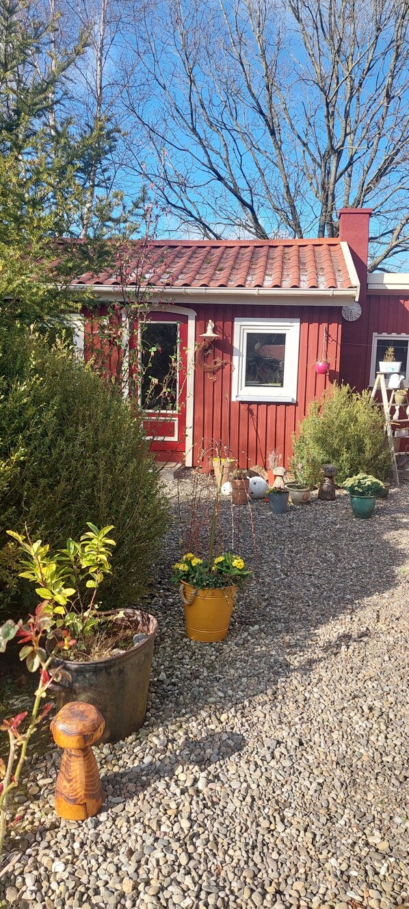 Exteriör