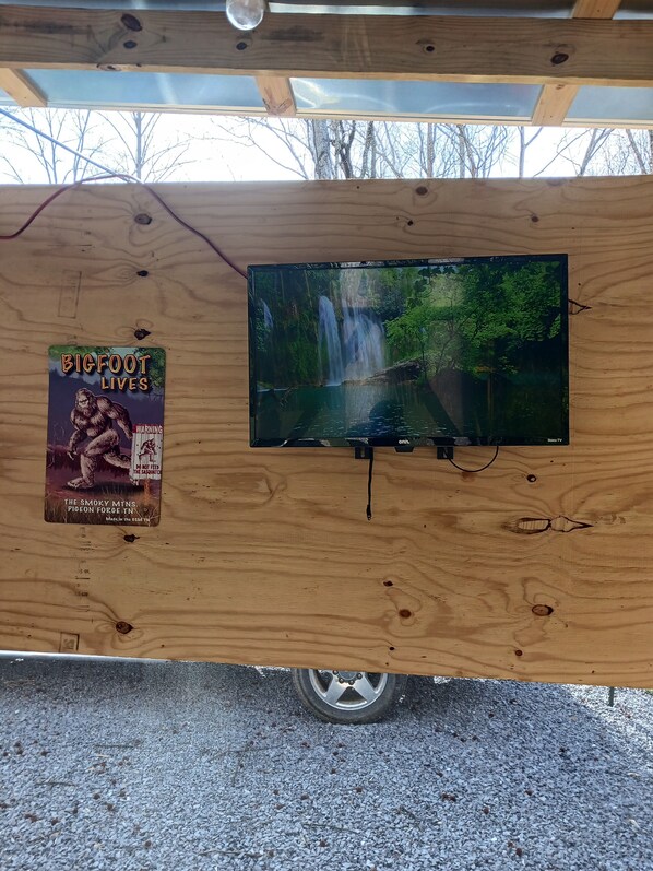 Television