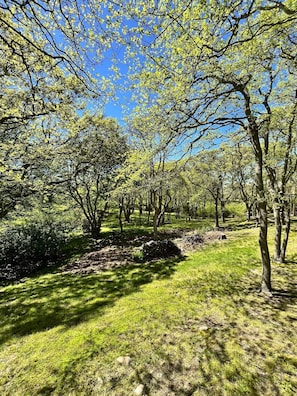 grounds