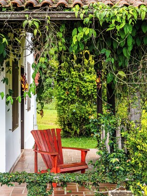 Terrass/Patio