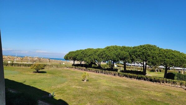 Sea & garden view 