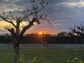 Sport court