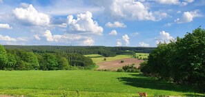 Ausblick vom Garten aus 