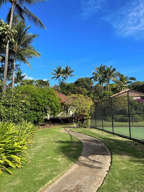 Sport court