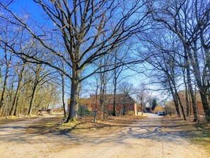 Miscellaneous