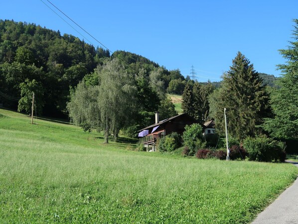 Gras, Grün, Baum, Wiese, Sommer, Einfach, Landschaft, Grundstueck, Strauch, Ländliches Gebiet