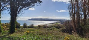 Views