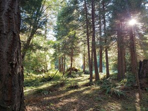 Bring your coffee for a glorious morning walk!