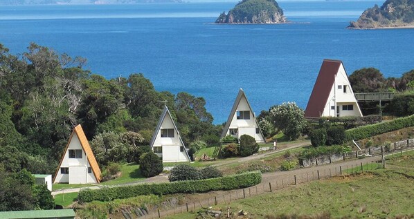 Aroha A-Frames Coromandel (1)