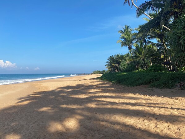 The kind of beach your whole family dreams of
