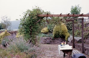 Peaceful private garden