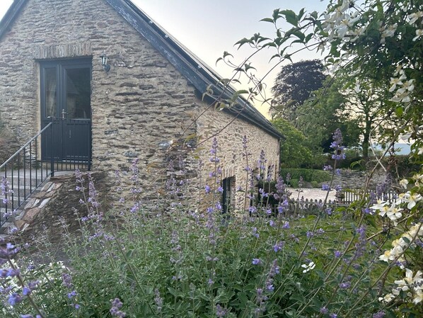 Beesknees garden bursting to life in late Spring