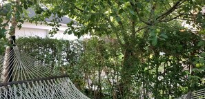 The double hammock under the tree