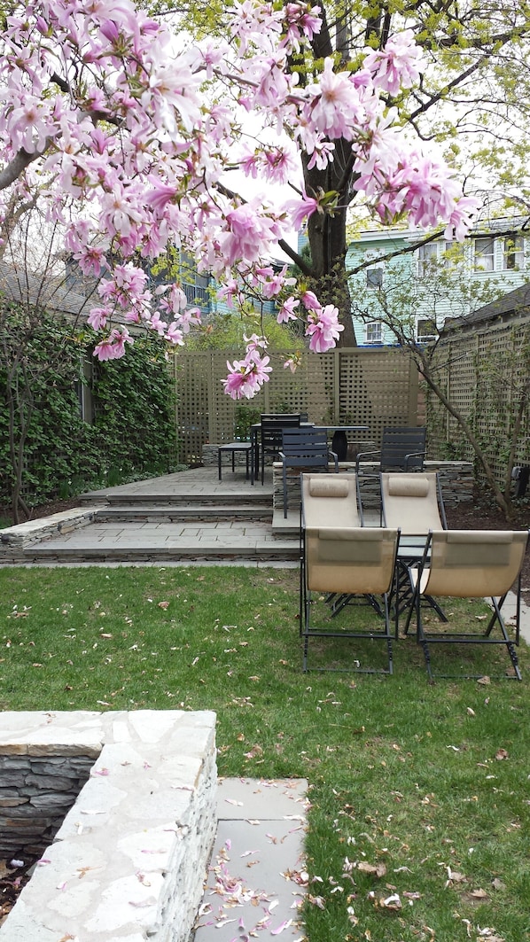 Welcome to the garden at Sunsplashed Serenity