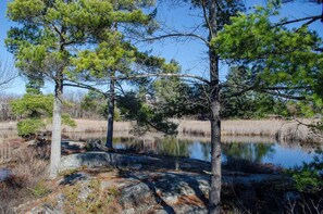 View behind Lakeview Cottage