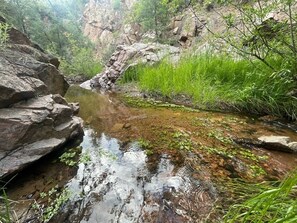 Intermittent creek 15 minute walk on Apache Canyon Trail.