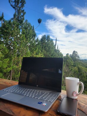 View from property