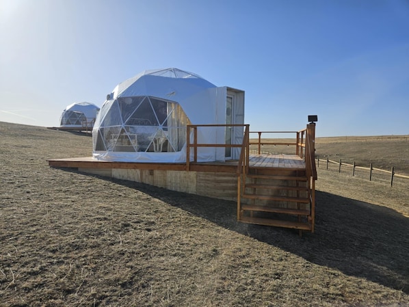 Dome spring