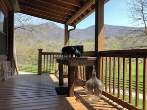 Front Porch and Griddle Area