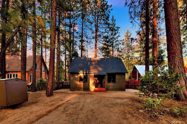 Exteriör