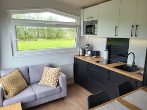 Living room and kitchen