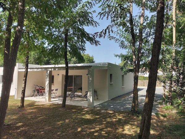 Exteriör