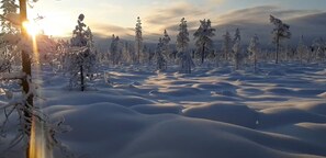 Miscellaneous
