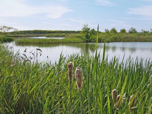 Living area | Lodge 2 - Fieldview Fishery, Saltfleetby