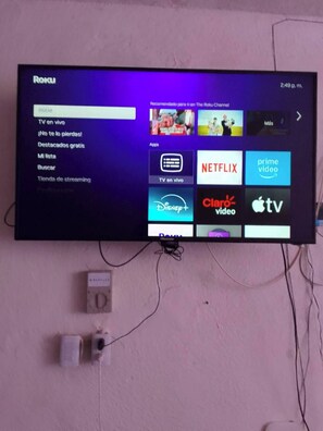 Television
