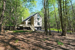 Charming Retreat: Nestled among towering trees, enjoy serenity and fresh air on the spacious deck!