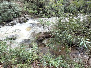 A small stream next to the rushing CREEK.