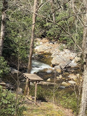 Rushing Mountain Creek on property