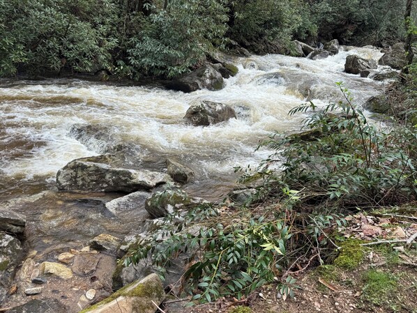 Your private  Creekside mountain haven!