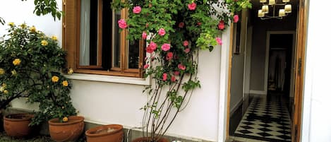 Detalle exterior