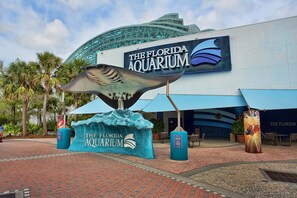 5 min to Aquarium