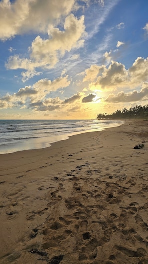 The sunset at the beautiful beach ⛱️ 😍 